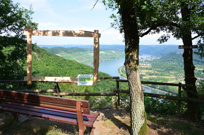 Wald und Weinberge