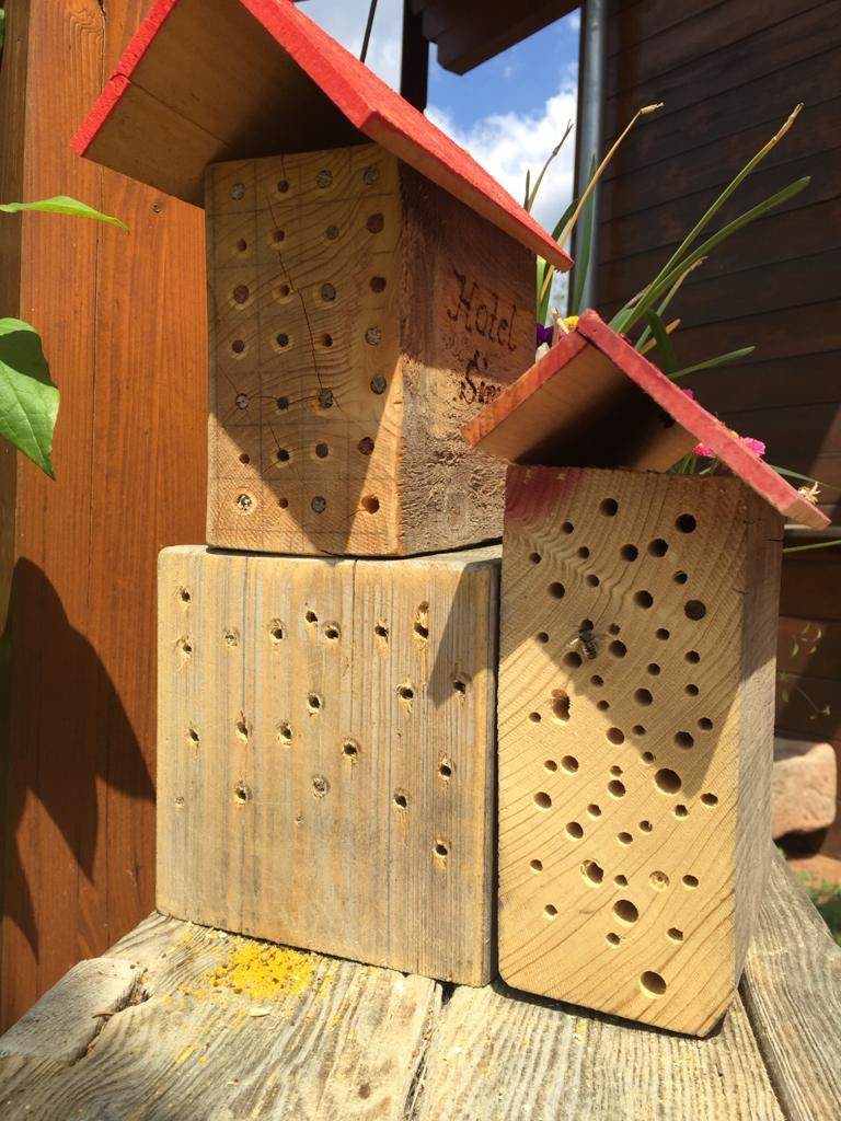 "Insektenhotel" oder korrekt: Nisthilfe für Wildbienen